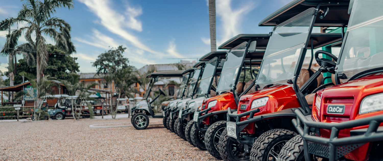 Avada Car Dealership